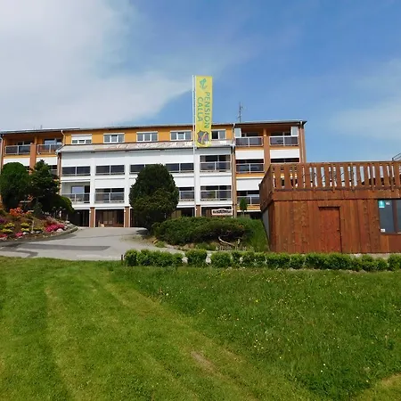 Calla Guest house 3*